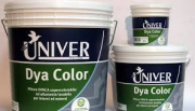 DYA COLOR SUPER LAVABILE UNIVER COLORATO LT 2,5.