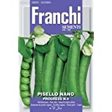 SEMI PISELLO A GRANO RUGOSO LINCOLN gr. 500 *
