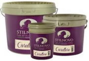 PITTURA DECORATIVA STILNOVO CARATTERE  LT 1.